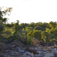 Земельный участок в Греции, 4600 кв.м.