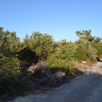 Земельный участок в Греции, 4600 кв.м.