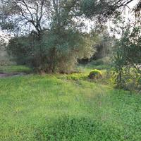 Земельный участок в Греции