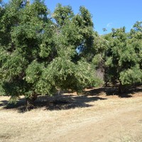 Земельный участок в Греции