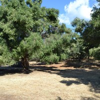 Земельный участок в Греции