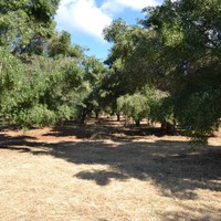 Земельный участок в Греции