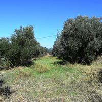 Land plot in Greece