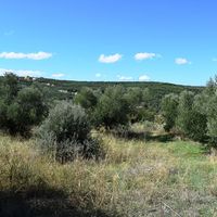 Land plot in Greece