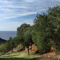 Other in Greece, 216 sq.m.