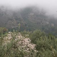 Other in Greece, 170 sq.m.