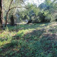 Земельный участок в Греции