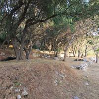 Земельный участок в Греции