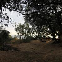 Земельный участок в Греции