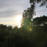 Земельный участок в Греции