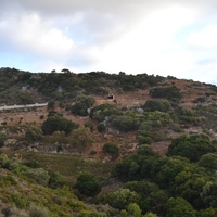 Land plot in Greece, 10000 sq.m.