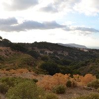 Land plot in Greece, 10000 sq.m.