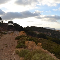 Land plot in Greece, 10000 sq.m.