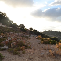 Land plot in Greece, 10000 sq.m.