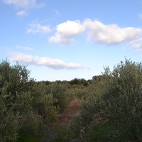 Land plot in Greece, 4300 sq.m.