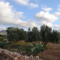 Land plot in Greece, 4300 sq.m.