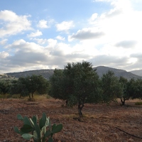 Land plot in Greece, 4300 sq.m.