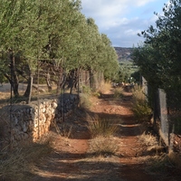 Land plot in Greece, 4300 sq.m.