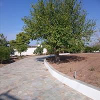 Villa in Greece, 290 sq.m.