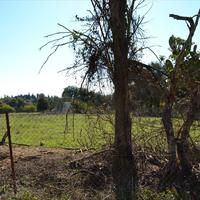 Land plot in Greece