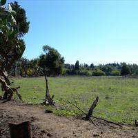 Land plot in Greece