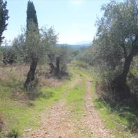 Land plot in Greece