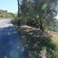 Land plot in Greece