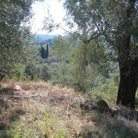 Land plot in Greece