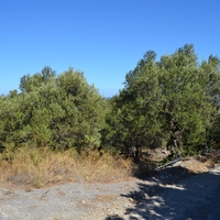 Земельный участок в Греции, 2000 кв.м.