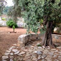 Other in Greece, 200 sq.m.