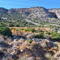 Земельный участок в Греции, 13500 кв.м.