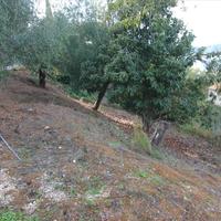 Land plot in Greece