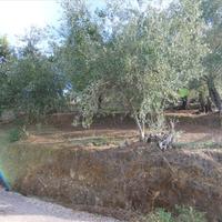 Land plot in Greece