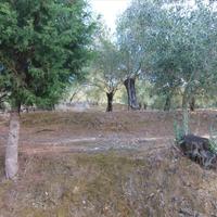Land plot in Greece