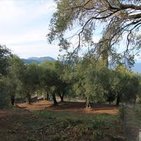 Land plot in Greece
