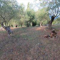 Land plot in Greece