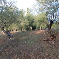 Land plot in Greece