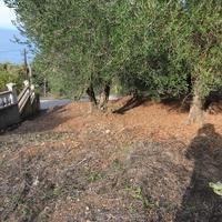 Land plot in Greece