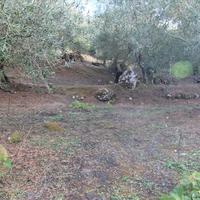 Land plot in Greece