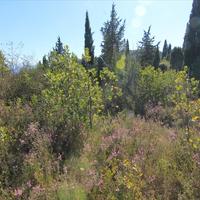 Land plot in Greece