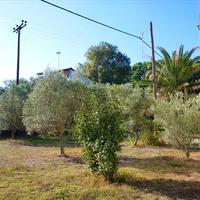 Flat in Greece, 70 sq.m.