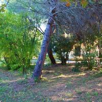 Flat in Greece, 70 sq.m.