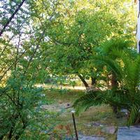 Flat in Greece, 70 sq.m.