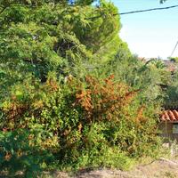 Flat in Greece, 70 sq.m.