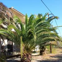 Flat in Greece, 55 sq.m.