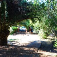 Flat in Greece, 55 sq.m.