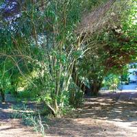 Flat in Greece, 55 sq.m.