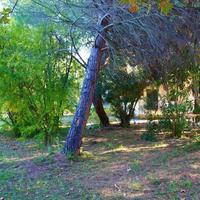 Flat in Greece, 55 sq.m.