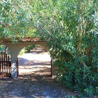 Flat in Greece, 55 sq.m.