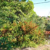 Flat in Greece, 55 sq.m.